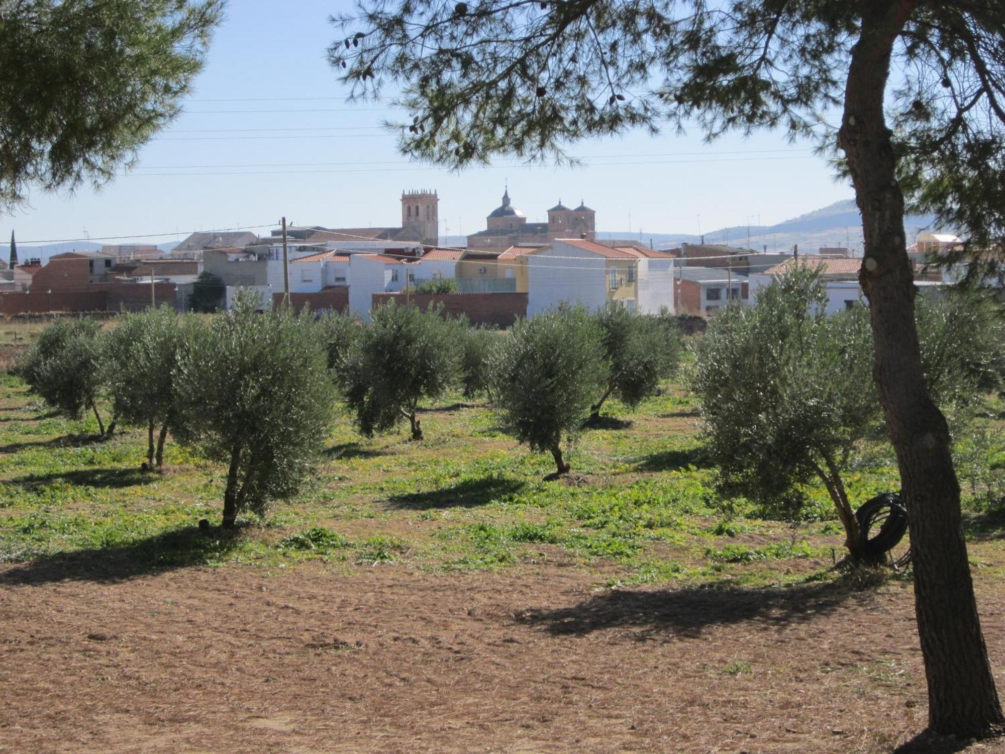 אלמגרו Apartamentos Rurales Las Caleras מראה חיצוני תמונה