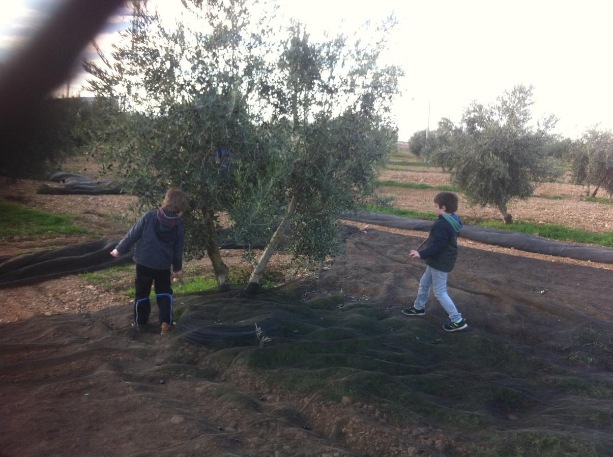 אלמגרו Apartamentos Rurales Las Caleras מראה חיצוני תמונה